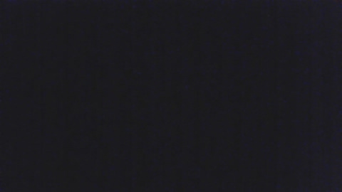 shogo0827  02-04-2023